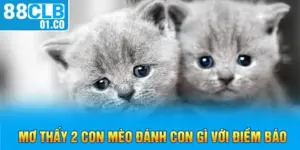 ảnh đại diện mơ thấy 2 mèo